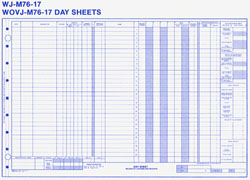 WJM7617 HEALTHCARE DAY SHEET